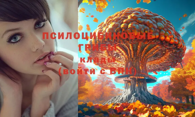 Галлюциногенные грибы Psilocybe  Белогорск 